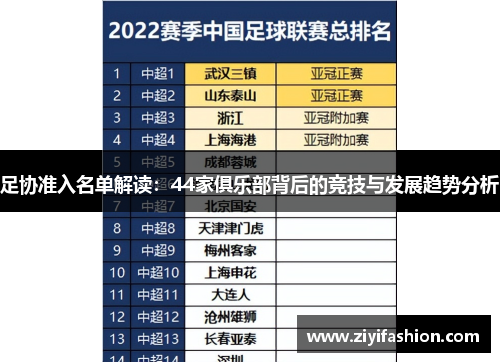 足协准入名单解读：44家俱乐部背后的竞技与发展趋势分析